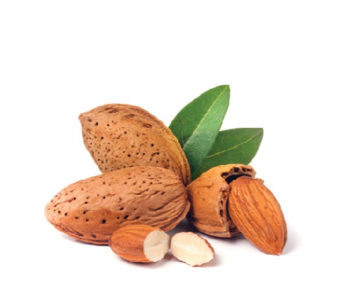 Huile Amande douce raffinée (Huile végétale)