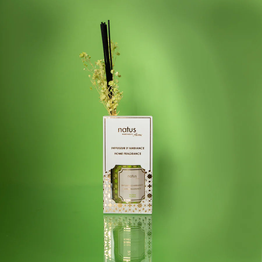 DIFFUSEUR TIGES 100mL