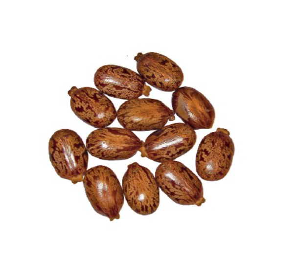 Huile de Ricin Pure (Huile végétale) – Soin fortifiant pour cheveux, cils et peau